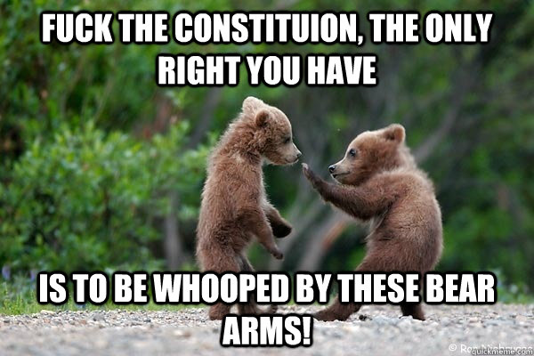 Fuck the constituion, The only  right you have is to be whooped by these bear arms! - Fuck the constituion, The only  right you have is to be whooped by these bear arms!  Karate Bear