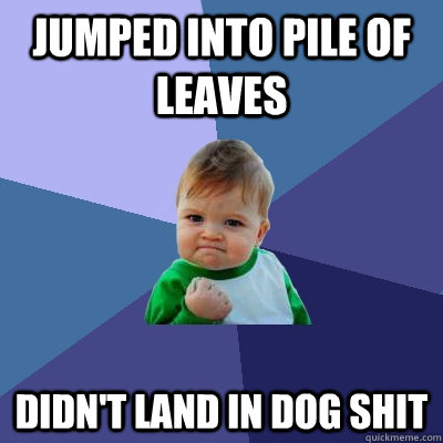 Jumped into pile of leaves Didn't land in dog shit - Jumped into pile of leaves Didn't land in dog shit  Success Kid