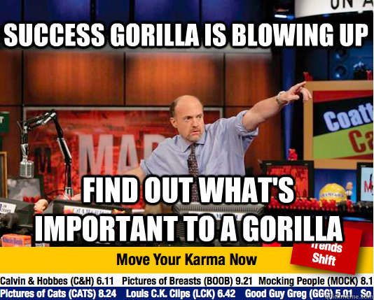 success gorilla is blowing up FIND OUT WHAT'S IMPORTANT TO A GORILLA  Mad Karma with Jim Cramer