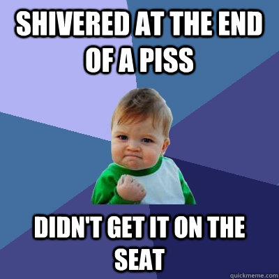 Shivered at the end of a piss didn't get it on the seat - Shivered at the end of a piss didn't get it on the seat  Success Kid