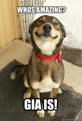 Whos amazing? Gia is!  Good Dog Greg