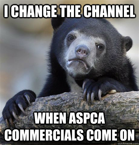 I Change the channel when aspca commercials come on  Confession Bear