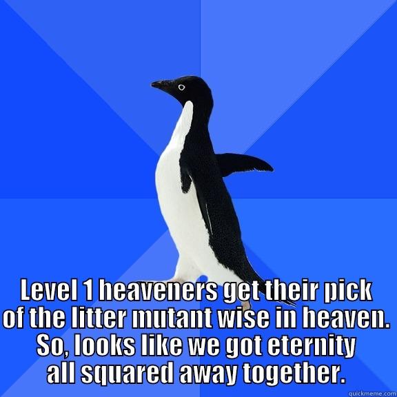  LEVEL 1 HEAVENERS GET THEIR PICK OF THE LITTER MUTANT WISE IN HEAVEN. SO, LOOKS LIKE WE GOT ETERNITY ALL SQUARED AWAY TOGETHER. Socially Awkward Penguin