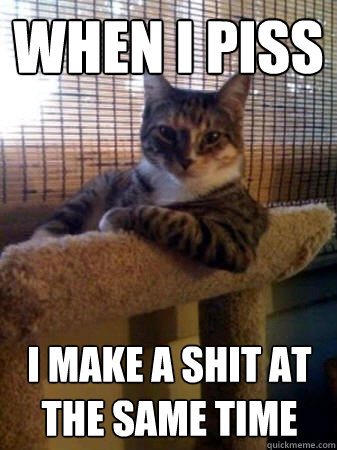 when i piss i make a shit at the same time  The Most Interesting Cat in the World