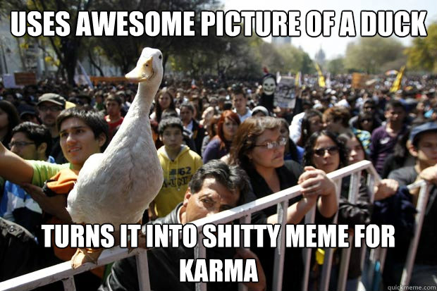 uses awesome picture of a duck Turns it into shitty meme for karma  