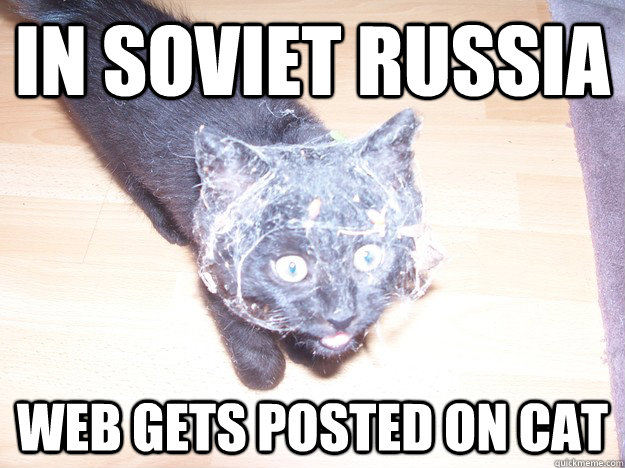 in Soviet Russia web gets posted on cat - in Soviet Russia web gets posted on cat  Misc