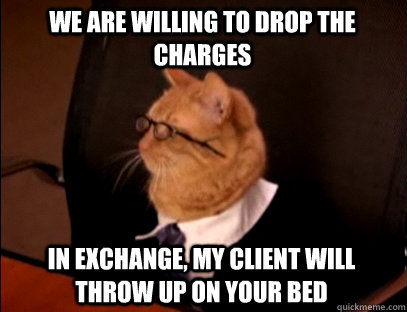 We are willing to drop the charges In exchange, my client will throw up on your bed  Lawyer Cat