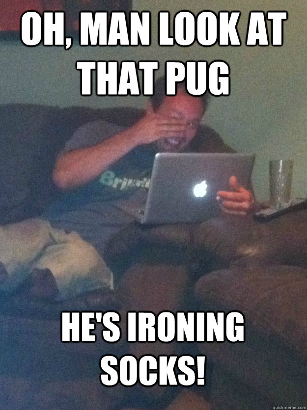 Oh, man look at that pug he's ironing socks!  MEME DAD