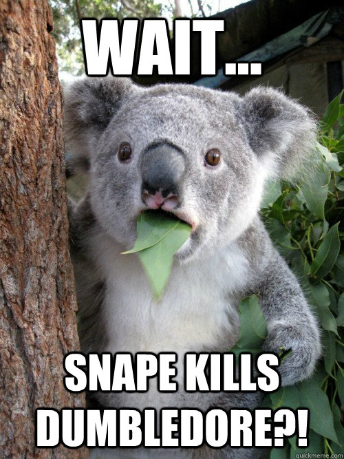 Wait... Snape kills dumbledore?! - Wait... Snape kills dumbledore?!  Surprised Koala