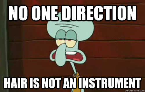 NO ONE DIRECTION HAIR IS NOT AN INSTRUMENT  One Direction