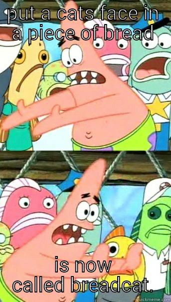 PUT A CATS FACE IN A PIECE OF BREAD IS NOW CALLED BREADCAT. Push it somewhere else Patrick