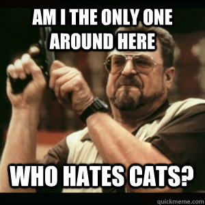 Am i the only one around here Who hates Cats? - Am i the only one around here Who hates Cats?  Misc