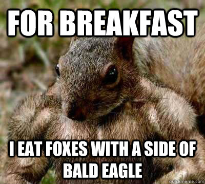 For breakfast i eat foxes with a side of Bald eagle  MUSCLE SQUIRREL