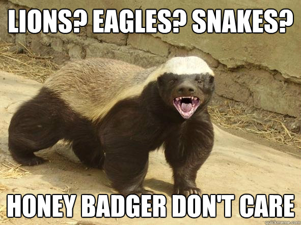 Lions? Eagles? Snakes? Honey Badger Don't Care  Indifferent Honey Badger