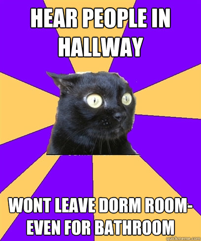 Hear people in hallway wont leave dorm room- even for bathroom ____ Caption 4 goes here  Anxiety Cat