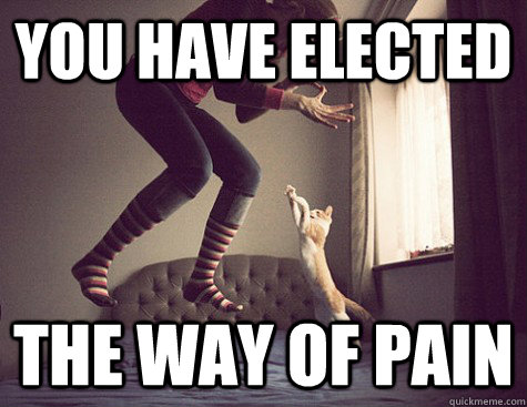You have elected The way of pain - You have elected The way of pain  saruman cat
