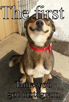 THE FIRST  TIME YOU GOT INSTAGRAM Good Dog Greg