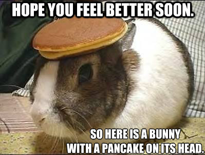 hope you feel better soon. So here is a bunny 
with a pancake on its head. - hope you feel better soon. So here is a bunny 
with a pancake on its head.  Pancake Bunny