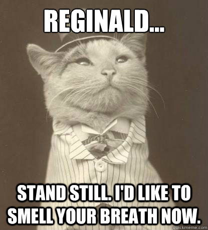 Reginald... Stand still. I'd like to smell your breath now. - Reginald... Stand still. I'd like to smell your breath now.  Aristocat