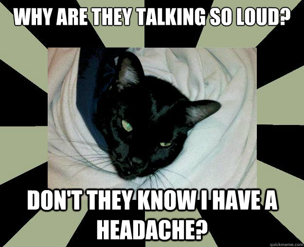 why are they talking so loud? don't they know I have a headache? - why are they talking so loud? don't they know I have a headache?  Curmudgeon Cat