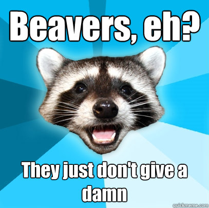Beavers, eh? They just don't give a damn  Lame Pun Coon