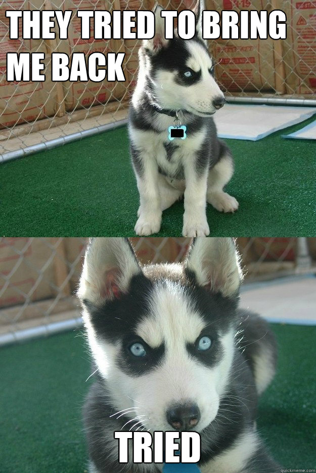 They tried to bring me back tried  Insanity puppy