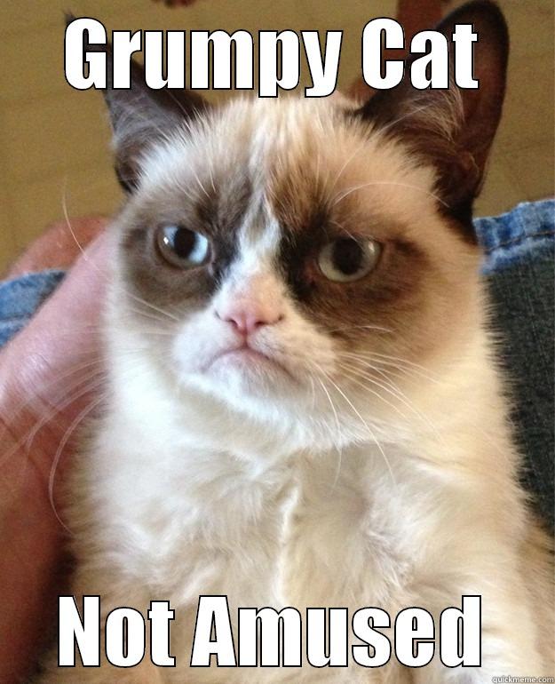 GRUMPY CAT NOT AMUSED Misc