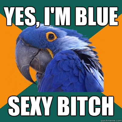 YES, I'm Blue SEXY BITCH  Paranoid Parrot