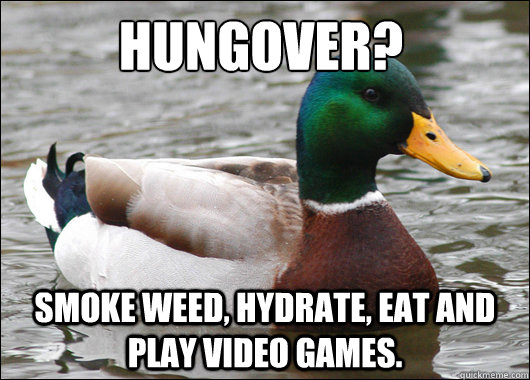 Hungover? Smoke weed, hydrate, eat and play video games.  Actual Advice Mallard