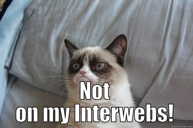  NOT ON MY INTERWEBS! Grumpy Cat