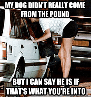 My dog didn't really come from the pound but i can say he is if that's what you're into  Karma Whore