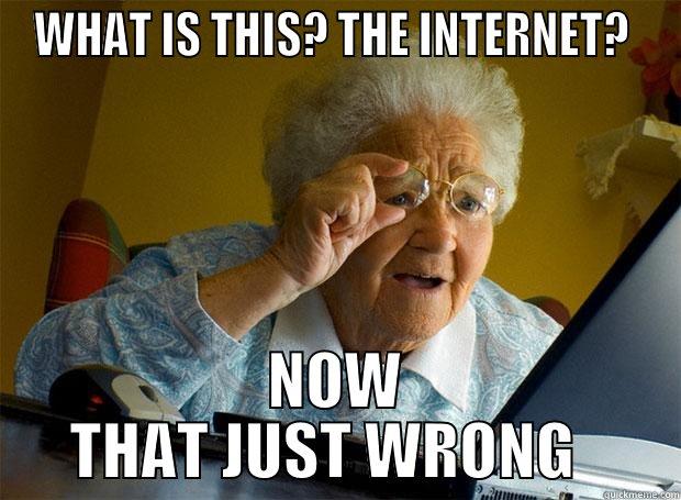 WHAT IS THIS? THE INTERNET?  NOW THAT JUST WRONG   Grandma finds the Internet