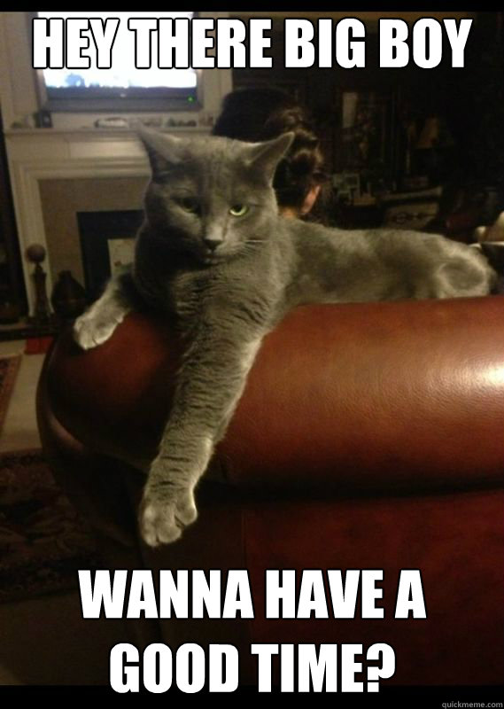 Hey there big boy Wanna have a good time?  Seductive Cat