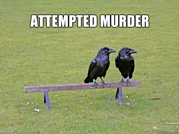 attempted murder   