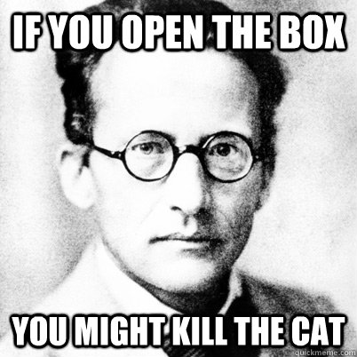 If you open the box You might kill the cat - If you open the box You might kill the cat  Misc
