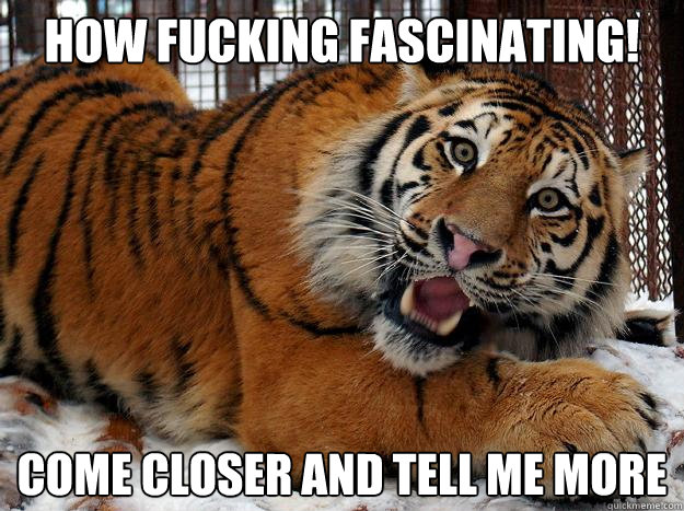 How fucking fascinating! come closer and tell me more - How fucking fascinating! come closer and tell me more  Fascinated Tiger