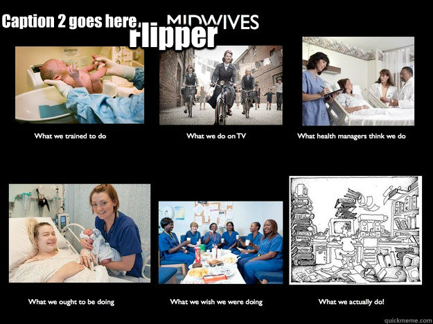 Flipper Caption 2 goes here  Midwives - what we really do