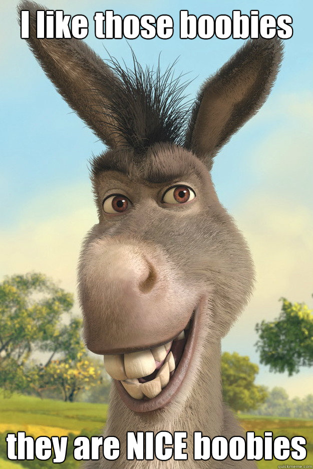 I like those boobies they are NICE boobies - I like those boobies they are NICE boobies  Complimentary Donkey