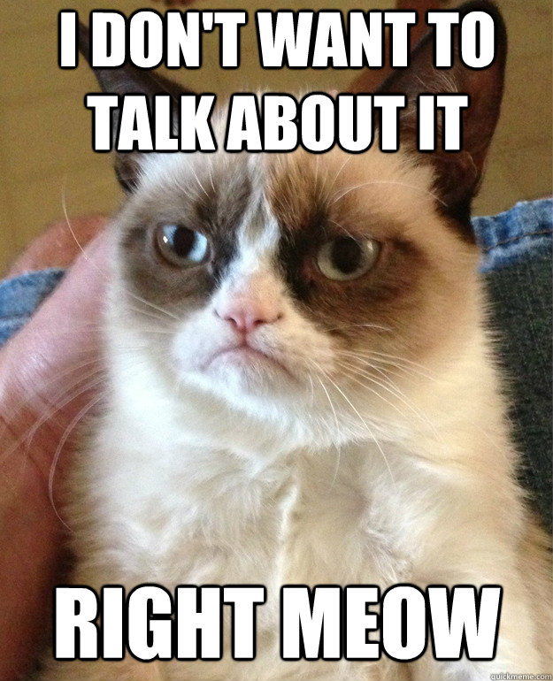i don't want to talk about it right meow - i don't want to talk about it right meow  Grumpy Cat
