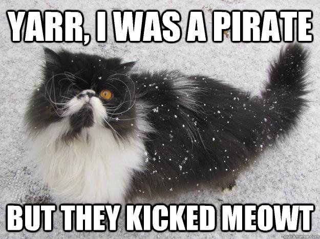 Yarr, I was a pirate But they kicked meowt  