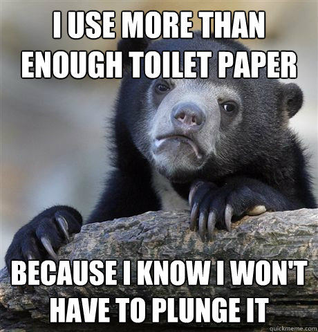 I use more than enough toilet paper because i know i won't have to plunge it  Confession Bear