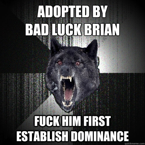 adopted by 
bad luck brian fuck him first      establish dominance  Insanity Wolf