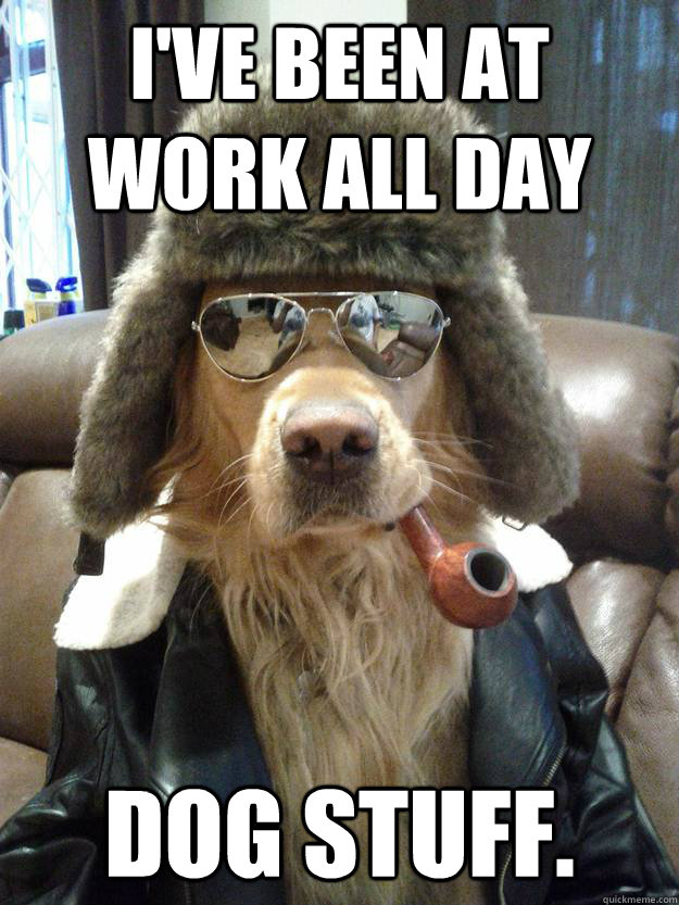 I've been at work all day Dog stuff.  Overly Suave Dog