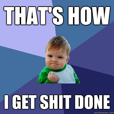 That's how I GET SHIT DONE  Success Kid