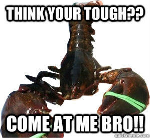 Think your tough?? Come at me bro!! - Think your tough?? Come at me bro!!  Lucky Larry Lobster