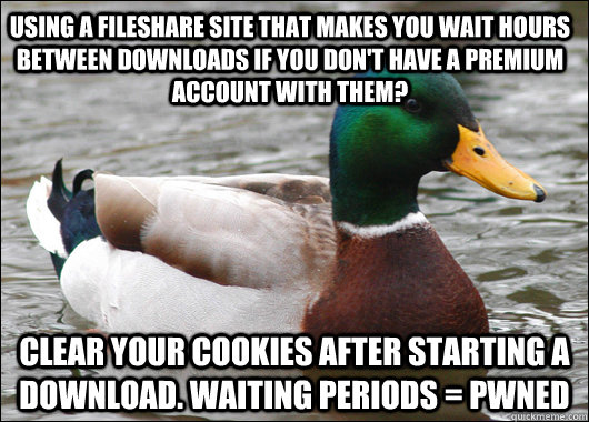 using a fileshare site that makes you wait hours between downloads if you don't have a premium account with them? clear your cookies after starting a download. waiting periods = pwned  Actual Advice Mallard