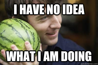 I have no idea what i am doing - I have no idea what i am doing  Misc