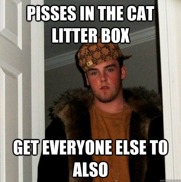 Pisses in the cat litter box Get everyone else to also  Scumbag Steve