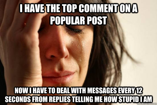 I have the top comment on a popular post now I have to deal with messages every 12 seconds from replies telling me how stupid I am - I have the top comment on a popular post now I have to deal with messages every 12 seconds from replies telling me how stupid I am  First World Problems