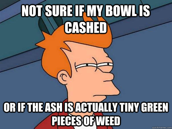 not sure if my bowl is cashed  Or if the ash is actually tiny green pieces of weed  Futurama Fry
